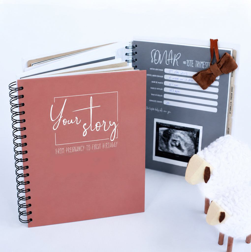 Baby Journal - Pink
